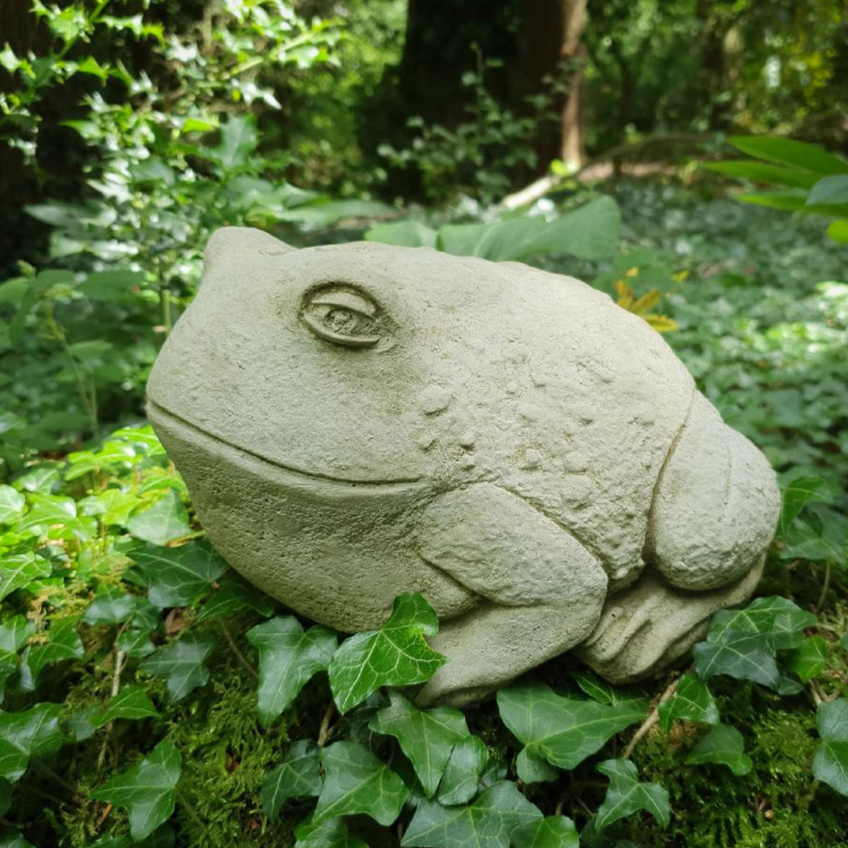 stone-bull-frog-doris-brixham