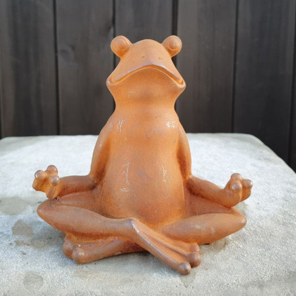 Meditating Frog